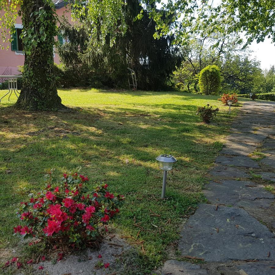 Villa Le Vignole Ameno Exteriör bild