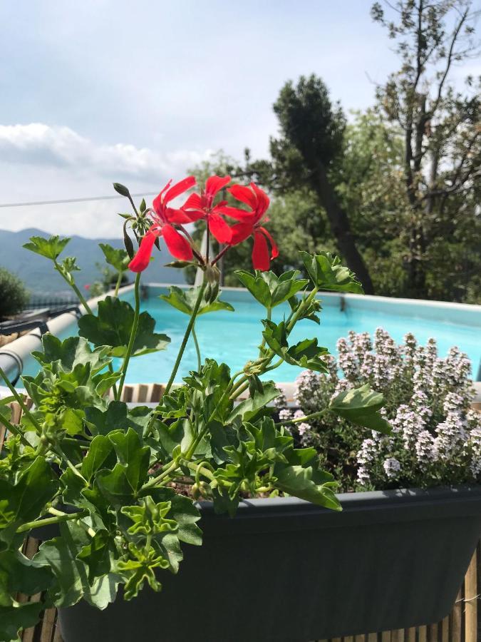 Villa Le Vignole Ameno Exteriör bild