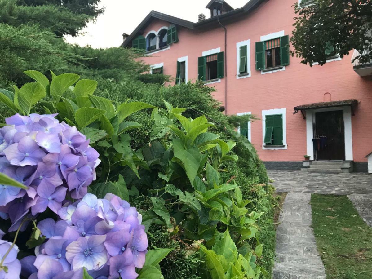 Villa Le Vignole Ameno Exteriör bild